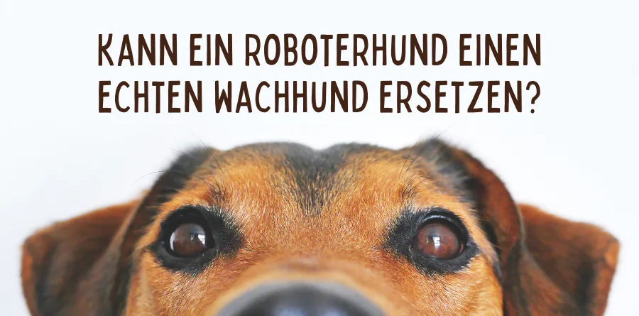 Kann ein Roboterhund einen echten Wachhund ersetzen? Ein technologischer, ökonomischer und rechtlicher Systemvergleich