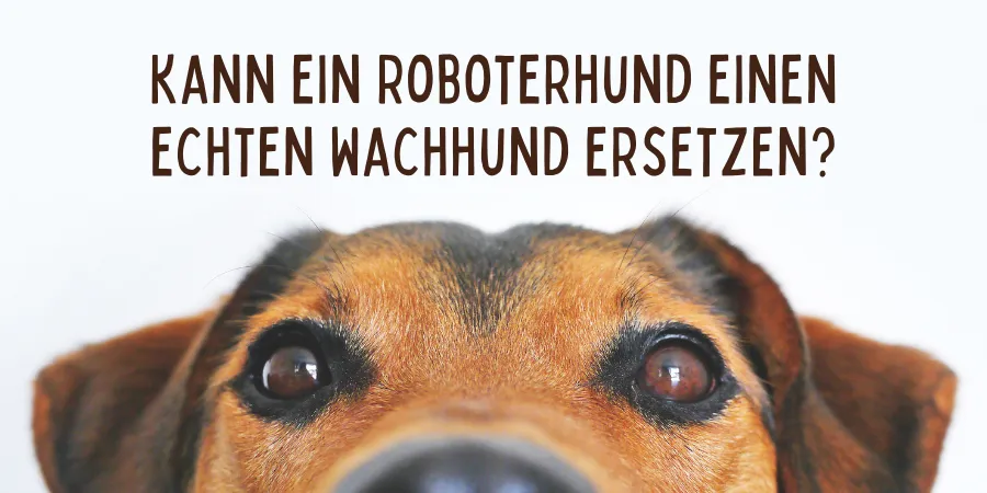 Kann ein Roboterhund einen echten Wachhund ersetzen? Ein technologischer, ökonomischer und rechtlicher Systemvergleich Kann ein Roboterhund einen echten Wachhund ersetzen? Ein technologischer, ökonomischer und rechtlicher Systemvergleich
